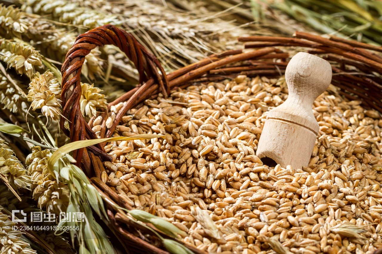 Basket full of grain with ears